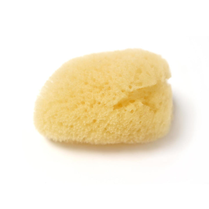 Jakar Artists Natural Sea Sponges x 10- Small Fine Texture