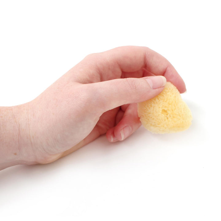 Jakar Artists Natural Sea Sponges x 10- Small Fine Texture