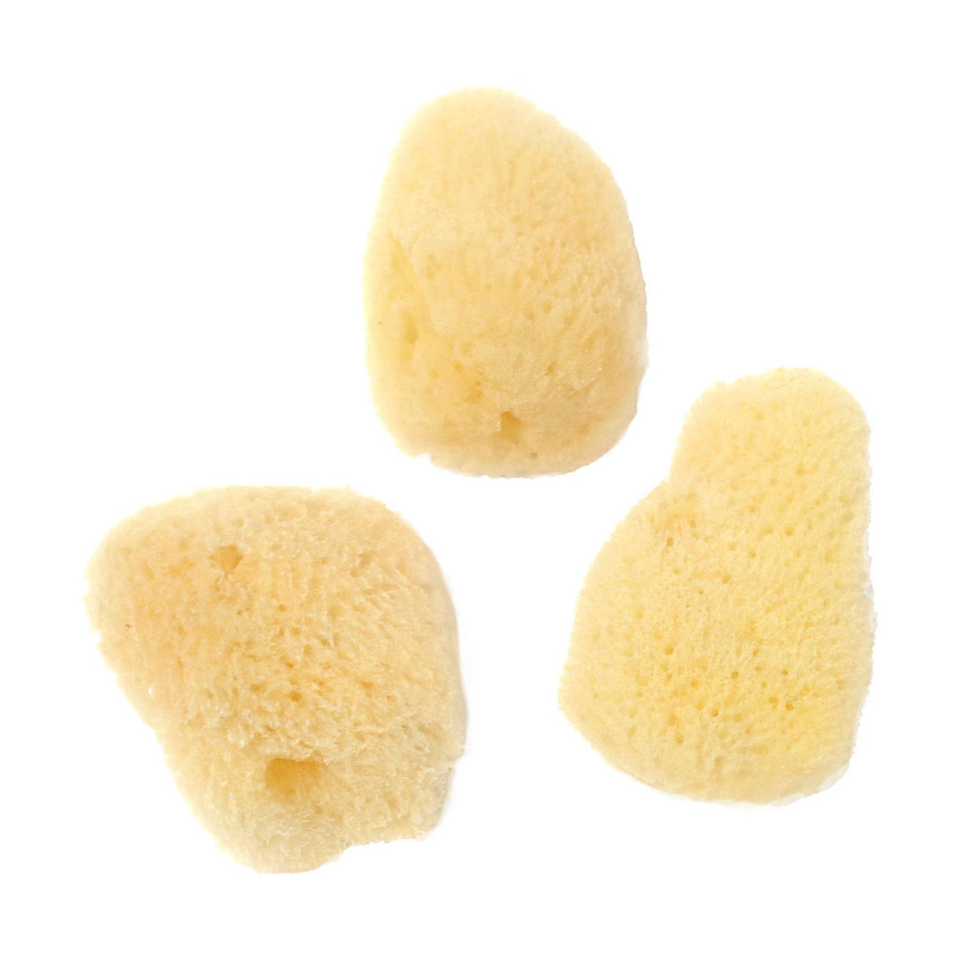 Jakar Artists Natural Sea Sponges x 10- Small Fine Texture