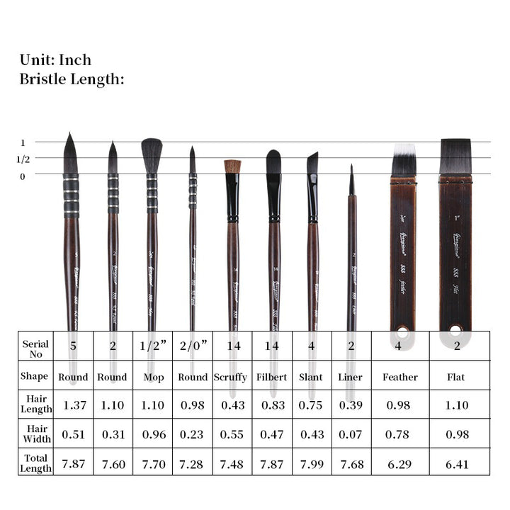 NEW - Professional 11-Piece Brush Set with Bag