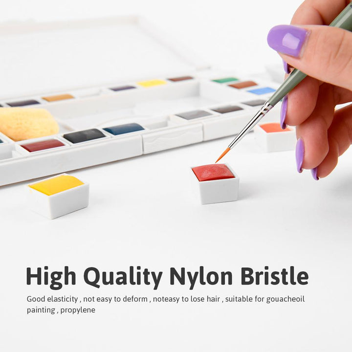 NEW: Set of 12 Fine Detail Brush Set - The Fine Art Warehouse