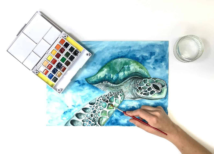 Premium 24 Half Pan Watercolour set with Detachable Pallet and 2 x Watercolour Brushes – by Zieler - The Fine Art Warehouse