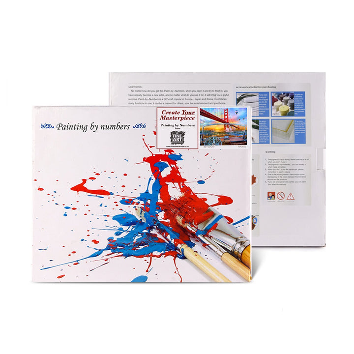 Premium Paint by Number Kit - FRAMED & UNFRAMED - San Fransisco - 40cm x 50cm - The Fine Art Warehouse