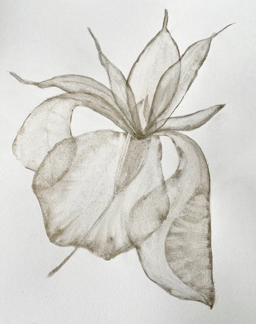 Painting by Diane Hewitson