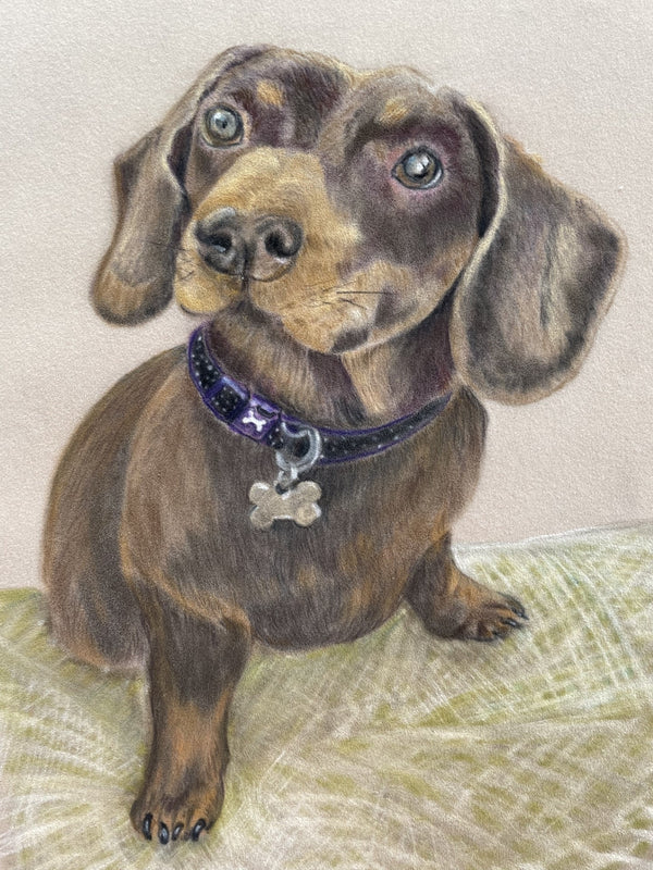 Bella, by Rosalind Whiteman
