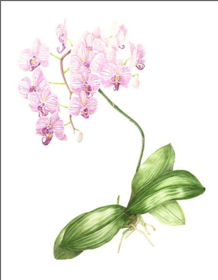 Painting by Carolyn Wyvill