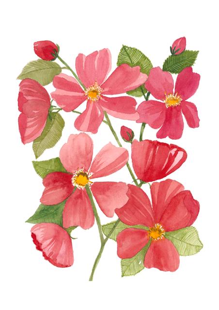 Painting by Diana Hewitson