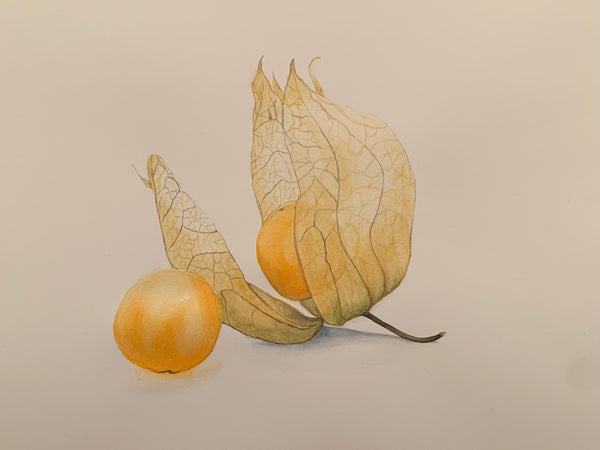 Painting by Jackie Grant