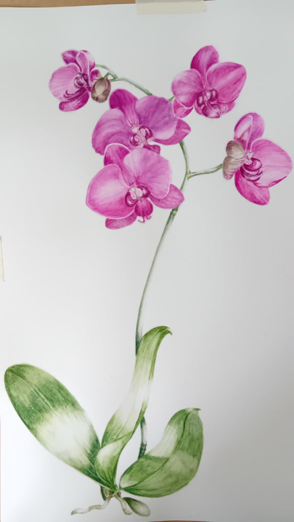 Painting by Julie Woolgar