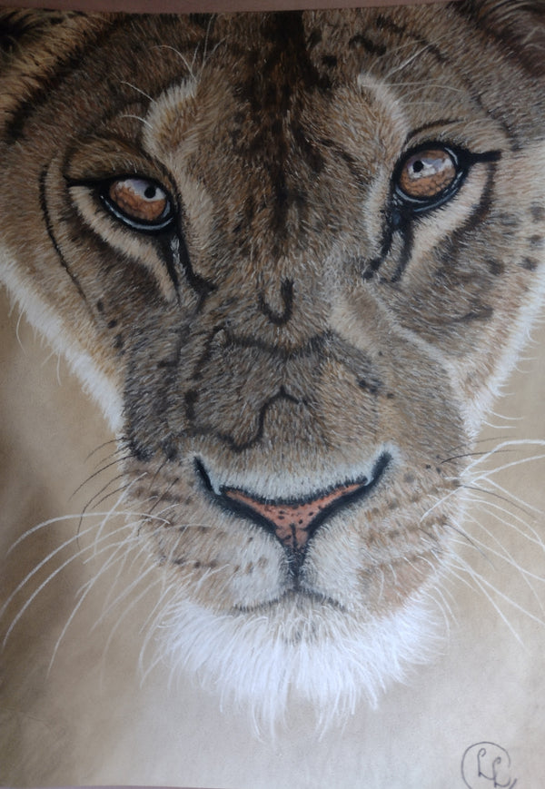 Painting by Lorraine Leversha-Capps