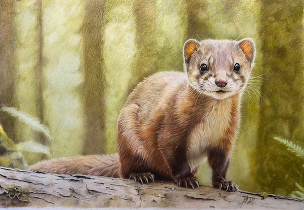 Painting by Matthew Hedger