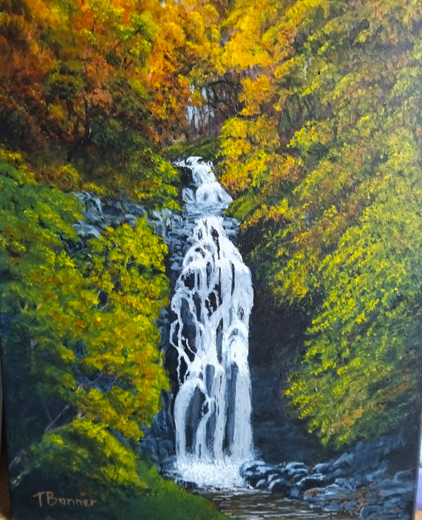 Painting by Tony Bonner