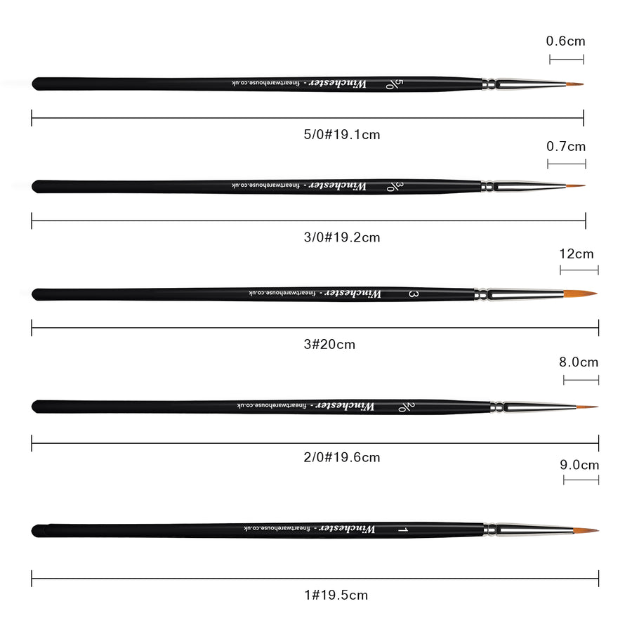 Set of 5 Fine Detail Artist Brushes