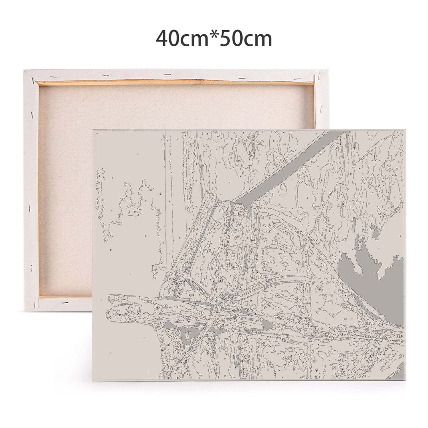 Paint by numbers with frame deals