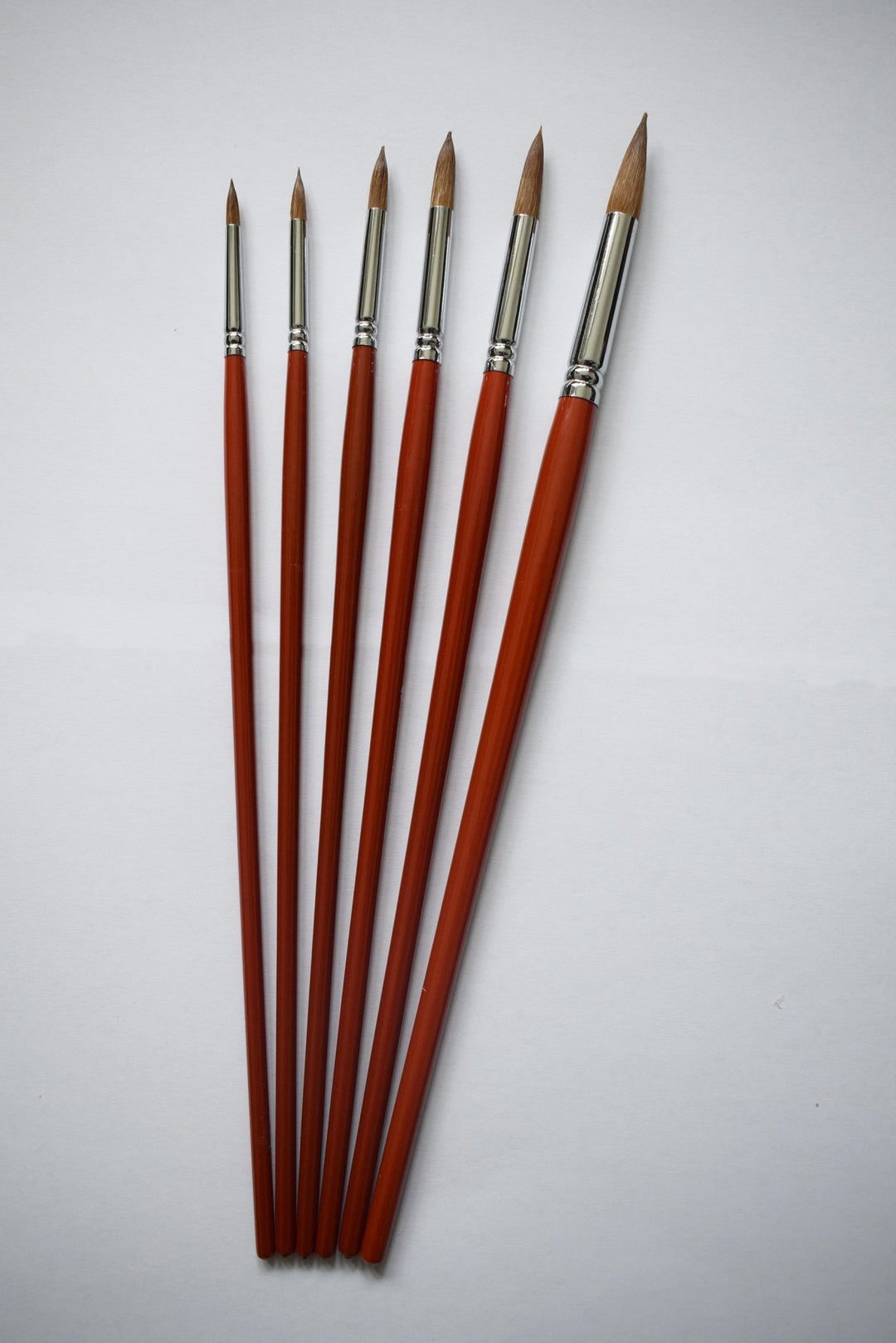 Sable Round Head Brush Set of 6 (sizes 2,4,6,8,10,12) - The Fine Art Warehouse