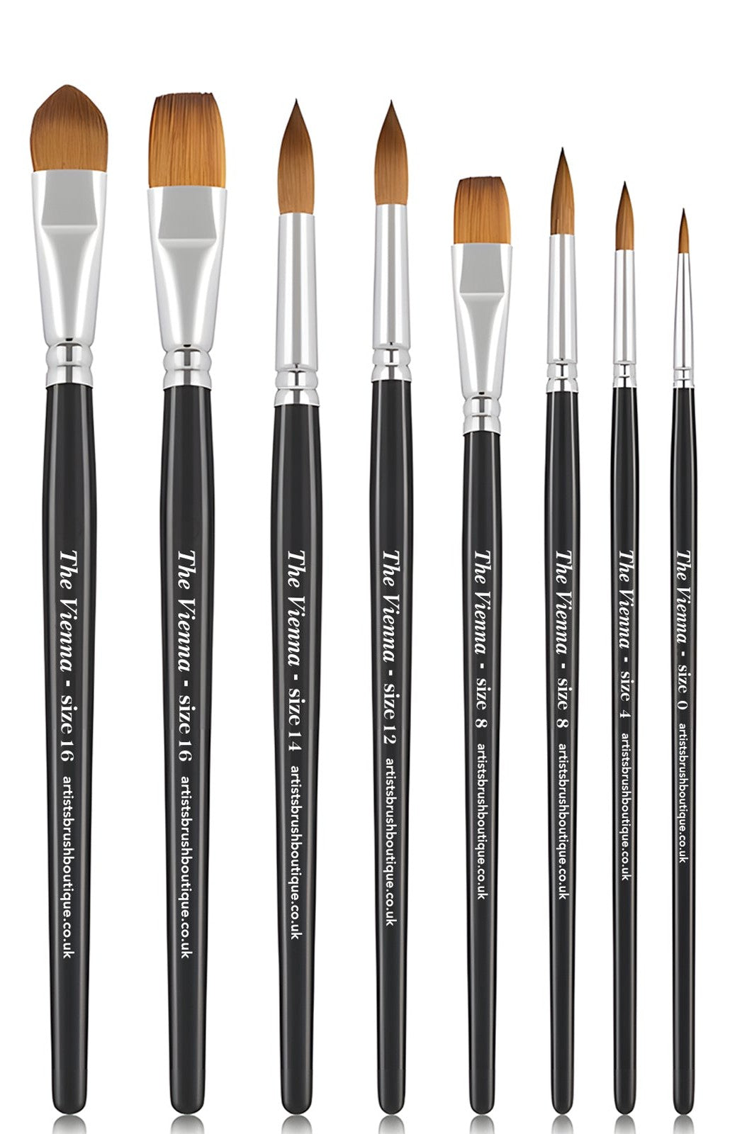 Size 16, brushes Filbert