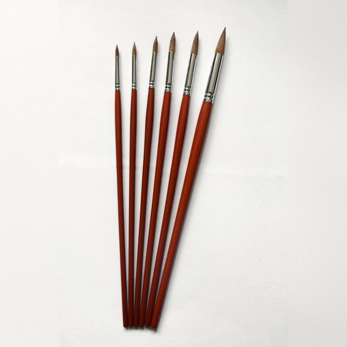 The Oxford - 6 Sable Round Brushes, photographed on our table